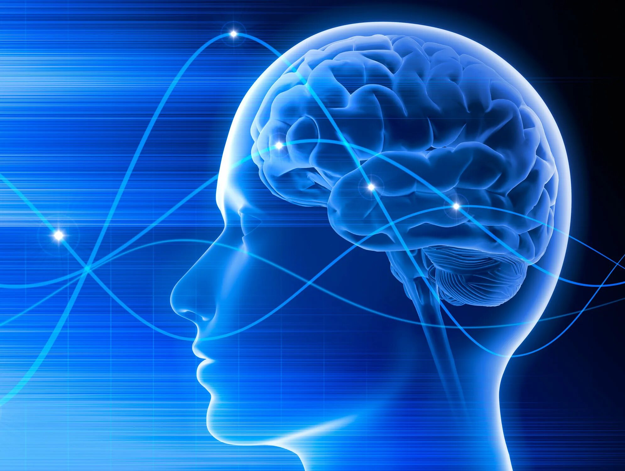 Brainwave. Нейропсихология мозг. Мозг память.