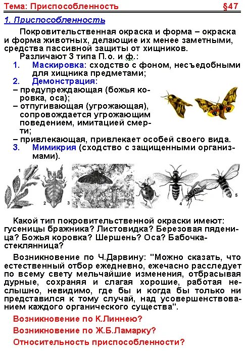 Появление относительного характера приспособленности. Черты приспособления пчелы. Приспособительные признаки пчелы. Черты приспособленности насекомых. Возникновение приспособленности.