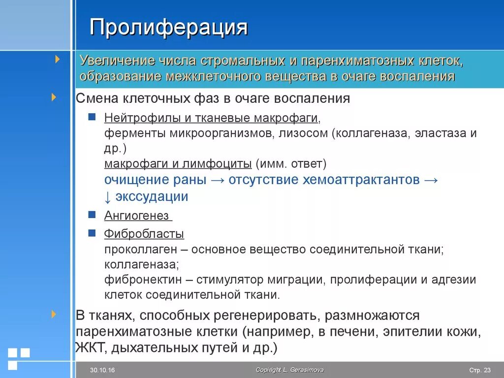 Пролиферация это простыми словами. Фаза пролиферации воспаления. Фаза пролиферации этапы. Пролиферация патофизиология. Пролиферативное воспаление патофизиология.