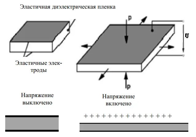 Электроактивные полимеры. Ионные электроактивные полимеры. Ионные электроактивные полимеры. Электроактивные полимеры. Электроактивные полимеры.
