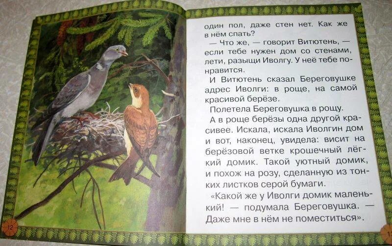 Лесные домишки Бианки читательский дневник. Домик Иволги "Лесные домишки". Главная мысль сказки Лесные домишки.