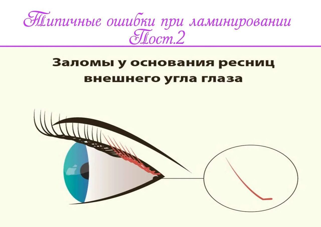 Схема нанесения составов при ламинировании ресниц. Схемы нанесения составов для ламинирования ресниц. Ламинирование ресниц схема. Ламинирование ресниц выкладка. Ресницы для наращивания состав