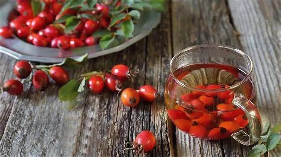 Отвар шиповника после еды. Отвар шиповника после еды