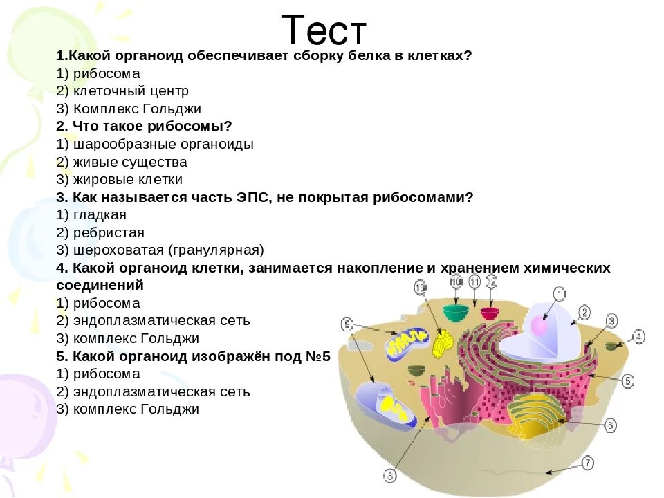 Зачёт по теме клетка 9 класс органоид, ядро. Органоиды клетки 9 класс биология. Структура клетки и процесс. Тесту по теме строение клетки. Установите соответствие между признаками органоида клетки