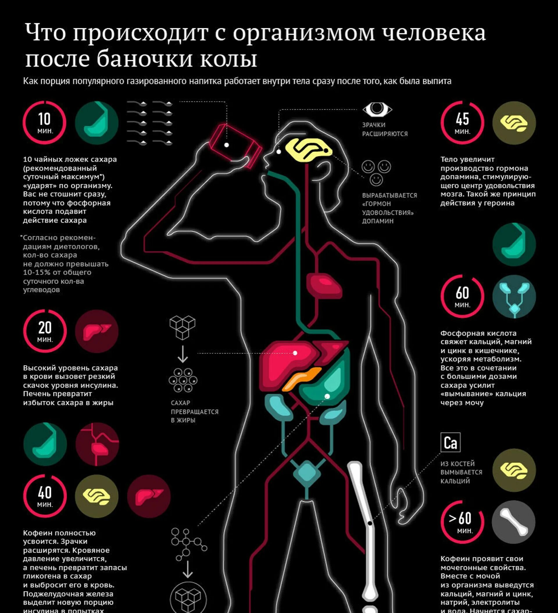 Что происходит в организме человека. Что происходит с организмом. Инфографика. Тело человека. Что происходит с организмом после баночки колы. Что происходит