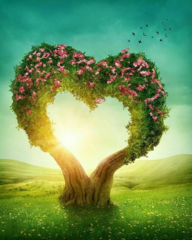 Lovely tree. Lovely tree