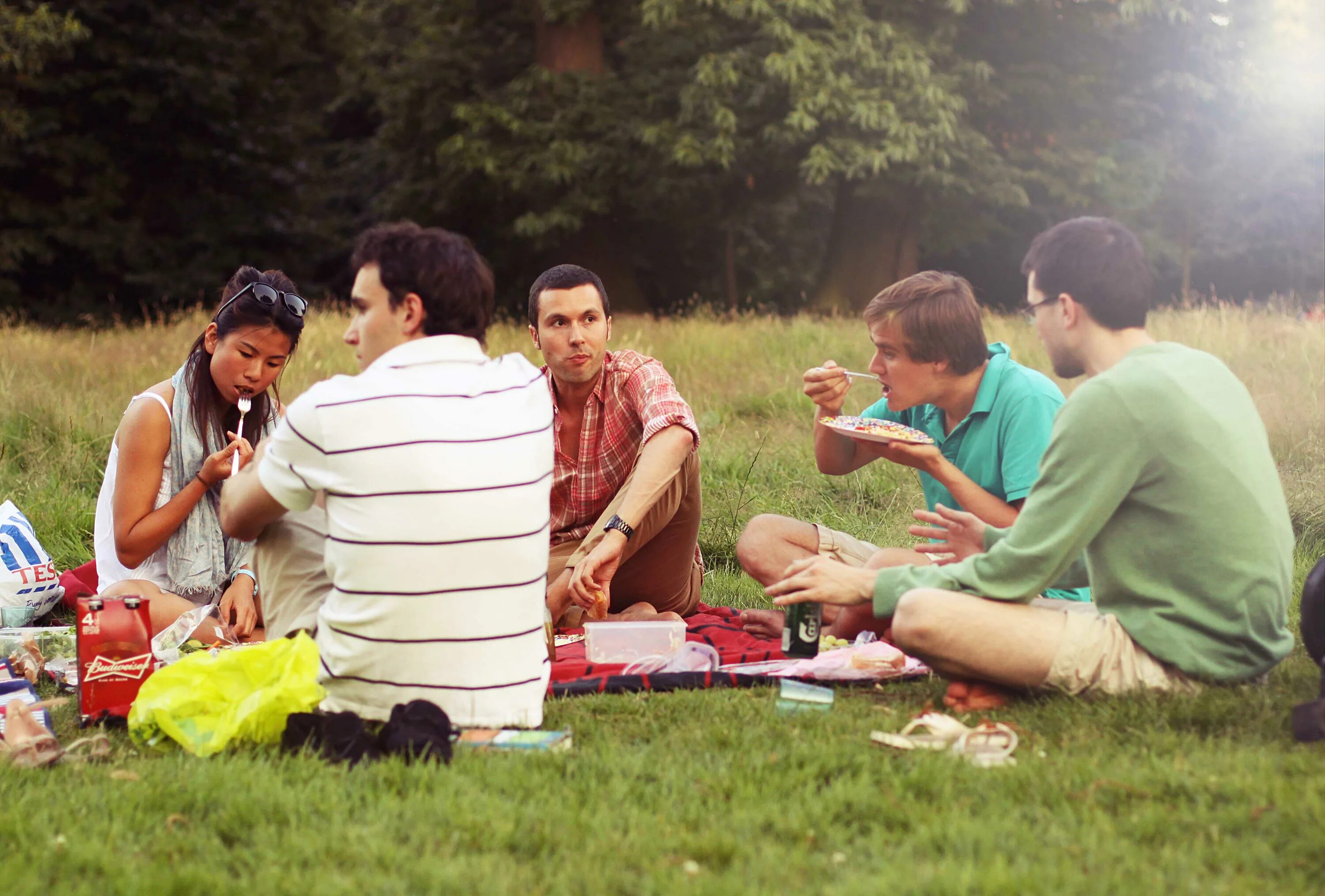 Пикник с друзьями на природе. Компания на пикнике. Студенты на пикнике. Пикник с коллегами на природе. Студенты природа групповой