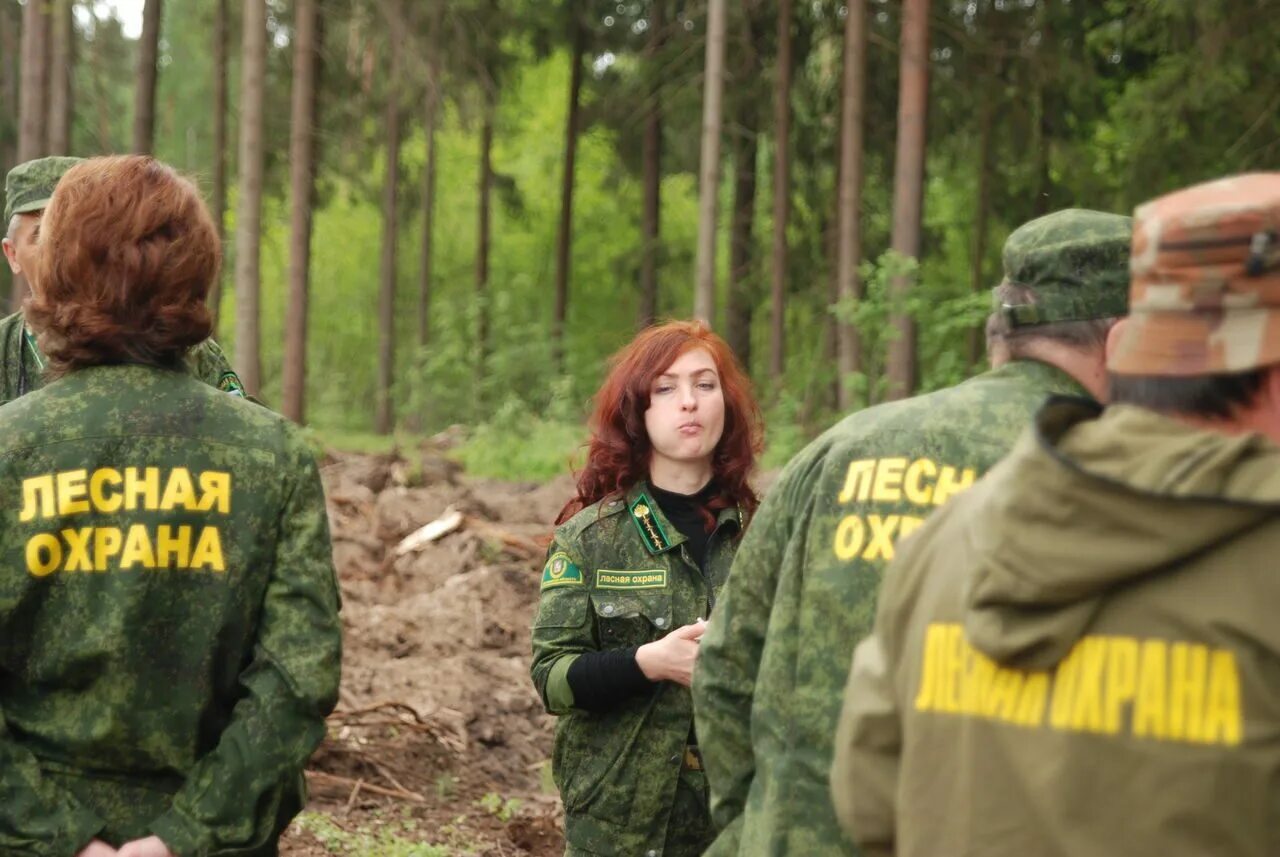 порядок лесной охраны. лесная охрана шаховская вислабоков андрей валентинович. меры охраны лесов схема. схема категорий лесов. порядок лесной охраны.