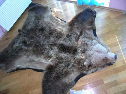 Продать шкуру медведя