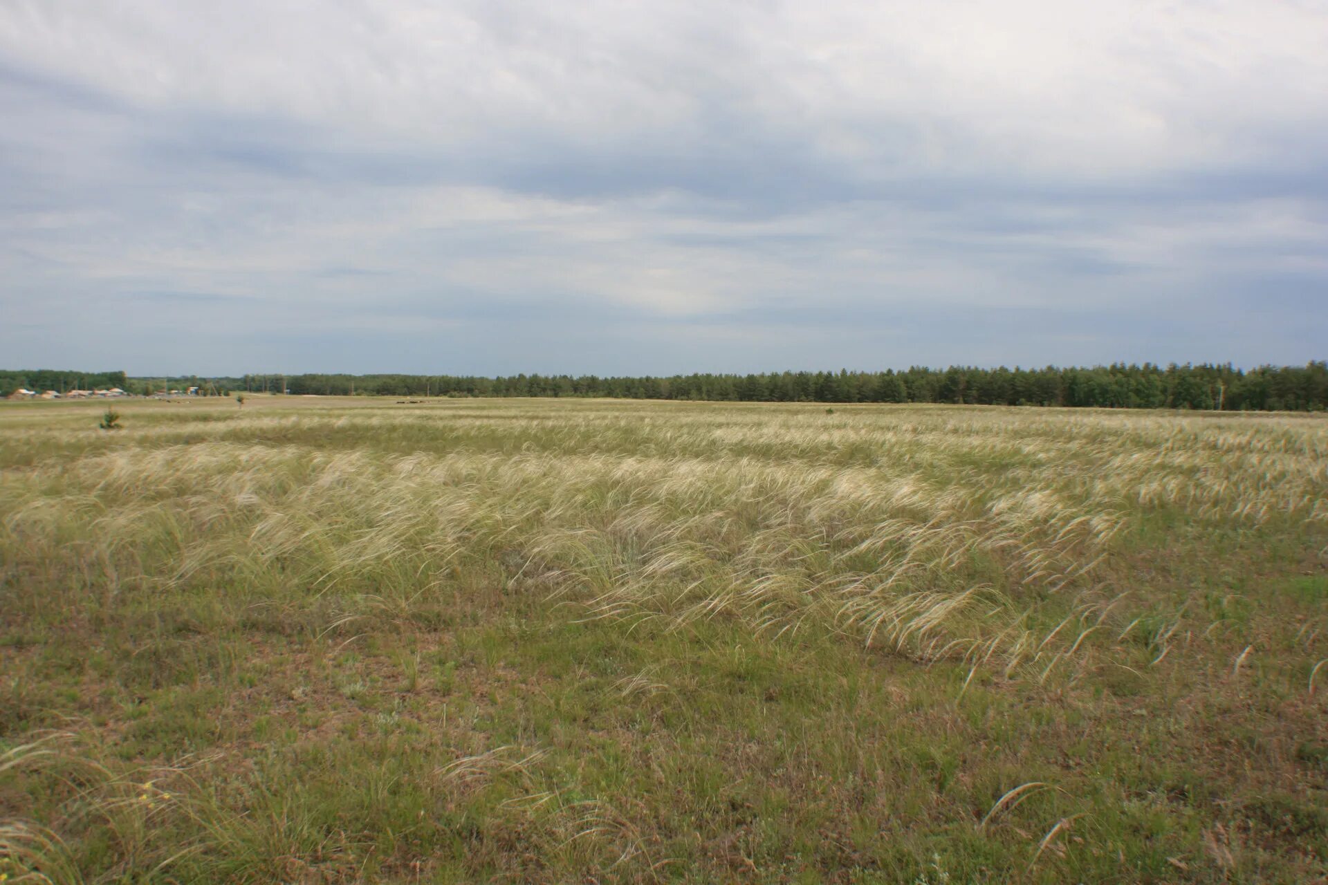 Деревня богдановка самарская область. Богдановка кладбище. Село богдановка забайкальский край. Тоцкое 2 школа. Погода богдановка оренбургская область.