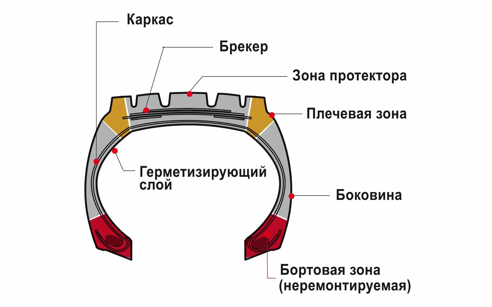 Строение шины. Схема устройства автомобильной шины. Протектор покрышки МТЗ 82 чертеж. Схема устройства бескамерной шины. Строение автомобильной покрышки.