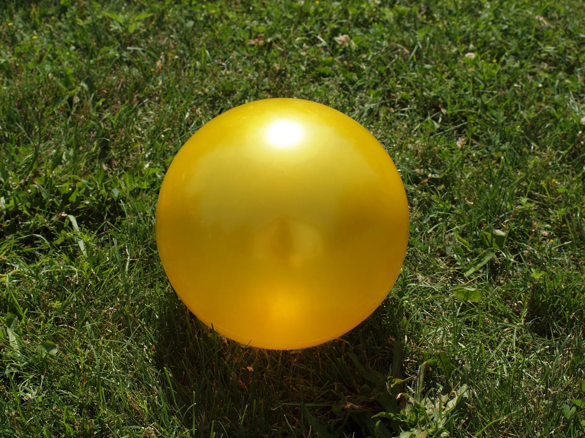 Желтый мяч. Желтый шар. Круглый желтый шарик. Круглый шар.