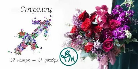 Цветок стрельца