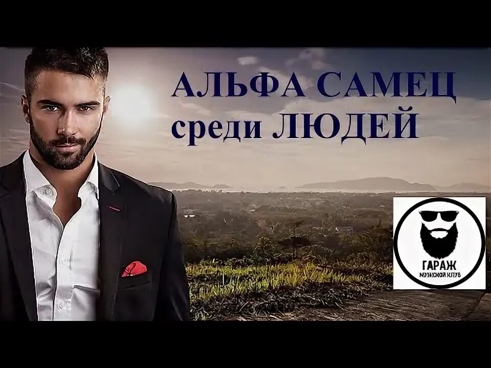 Альфа самец. Альфа самец мужчина. Альфа самец и бета самец. Альфа самец мужчина. Альфа самец картинки.