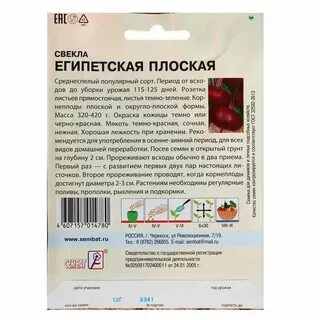 Свекла египетская плоская описание