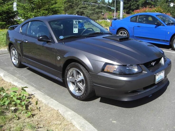 Ford mustang svt cobra. Форд мустанг 2004. Форд мустанг 2004. Форд мустанг 2004. Ford mustang 2004.