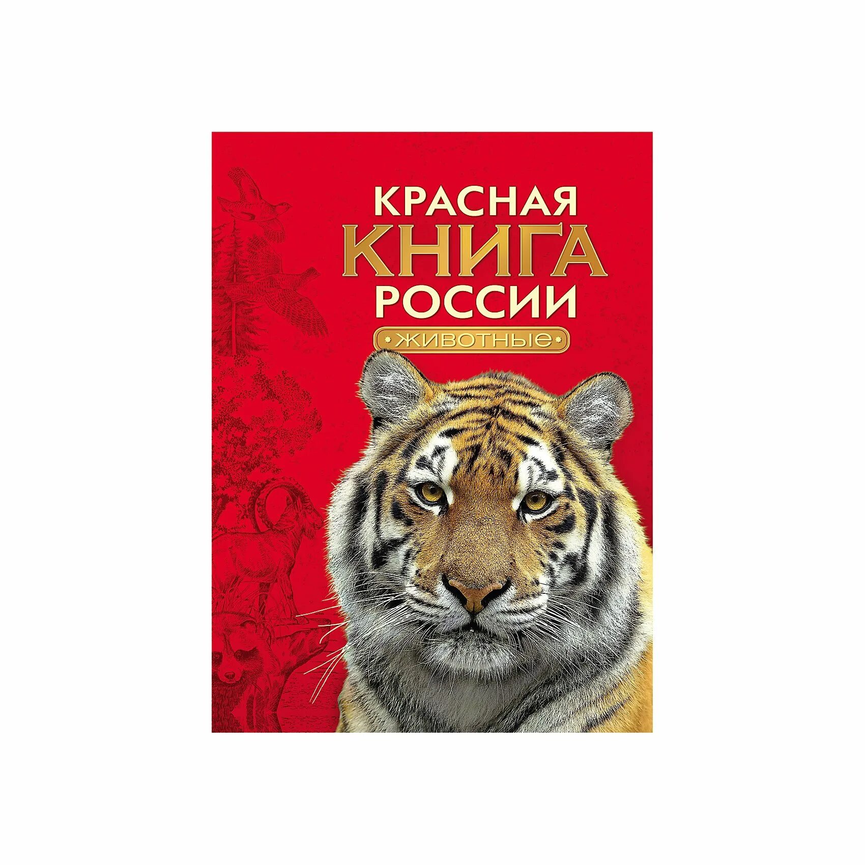 Пиши красная книга. Красная книга. Красная Клинга. Обложка красной книги России. Красная книга России книга.