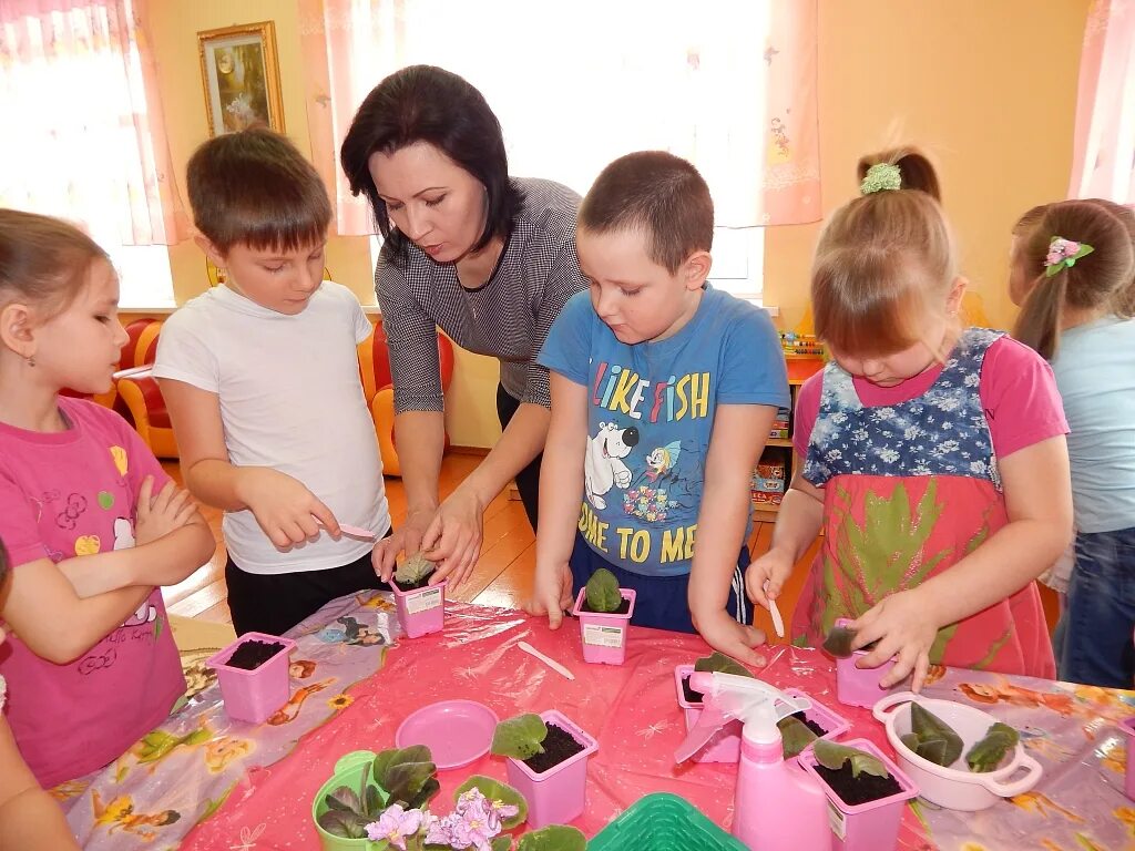 Качество в старшей группе