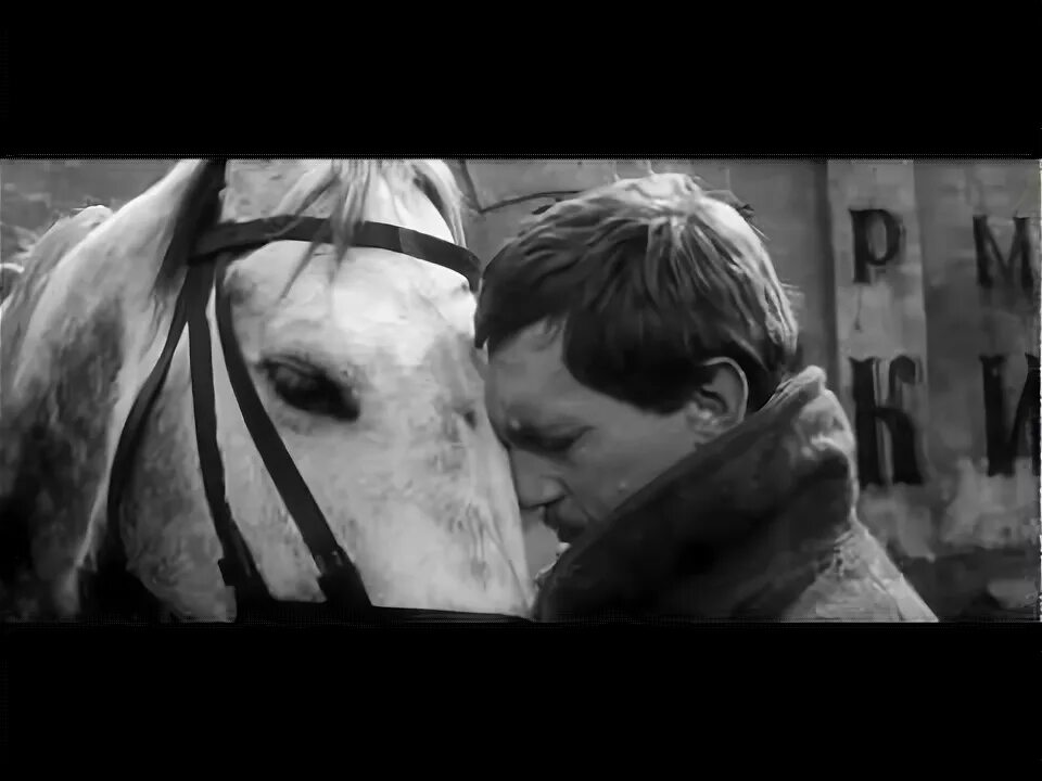 Песня про коня из кинофильма пацаны слушать. Песня про коня из кинофильма пацаны слушать. Х ф пацаны 1983. Песня про коня из кинофильма пацаны слушать. Фото из кинофильма пацаны.