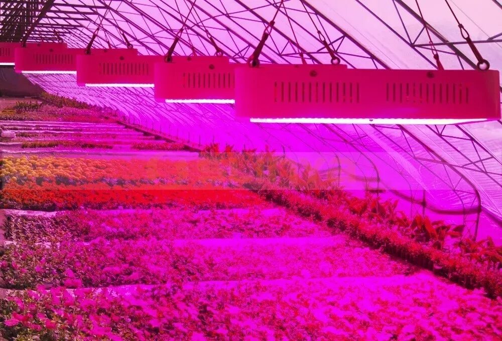 Led plant lights. Фитолампа led grow Light. Led Full Spectrum 1200w для теплицы. Led grow Light фитосветильник 1000вт. Led лампы для растений 600w 220v.