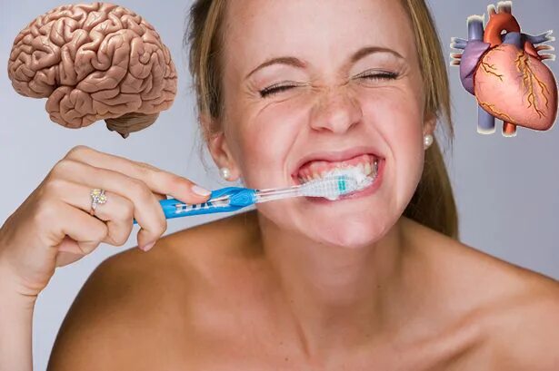 Зубы и мозг взаимосвязь. Зубы и диабет взаимосвязь. Что чистит мозг