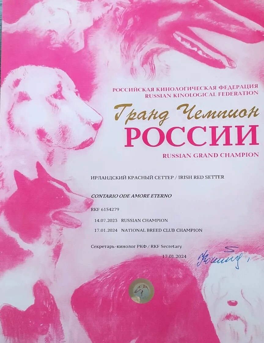 Юный гранд чемпион. Гранд чемпион. Гранд чемпион ркф 2022. Гранд чемпион. Гранд чемпион собаки.