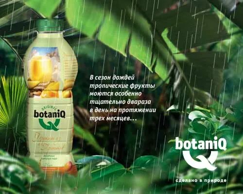 Blender botaniq. Botaniq сок. botaniq лимонад. botaniq focus drkps. botanig.