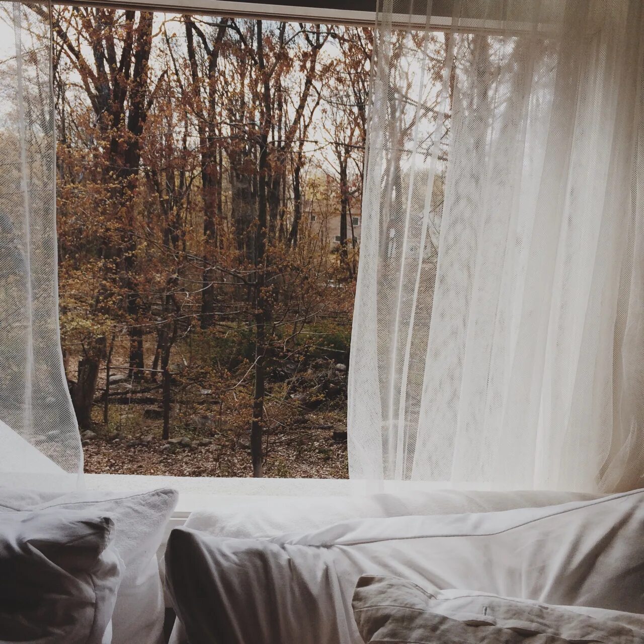 Вид из окна поздняя осень. Поздняя осень Эстетика. Окно Эстетика утро. Эстетика вид из окна на лес. Сон в доме на улице