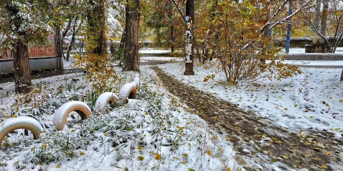 Снег в сентябре какая. Первый снег в парке. Первый снег в сентябре. Первый снег в Саратове. Первый снег в городе.