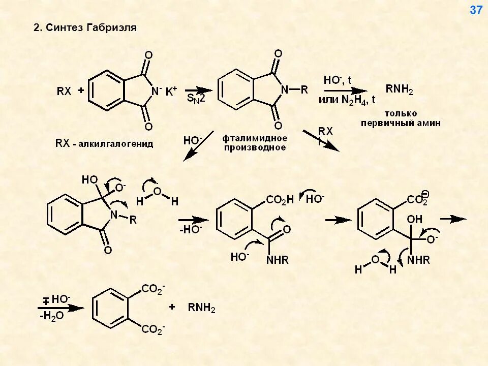 Синтез адрес. Фталимидный Синтез Габриэля. Синтез первичных Аминов по Габриэлю. Фталимида калия Габриэль. Синтез фталимида.