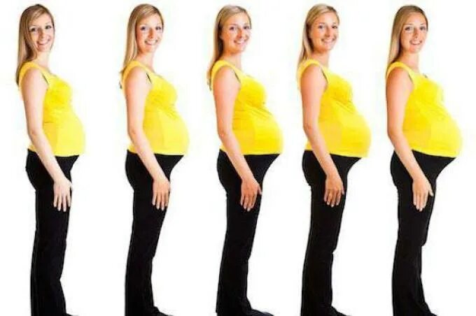 Женщина на 2 месяце беременности. Живот растет. Растущий живот у беременных. Рост живота.