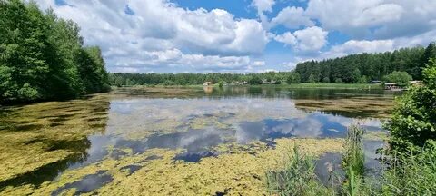 Каменка смоленская область