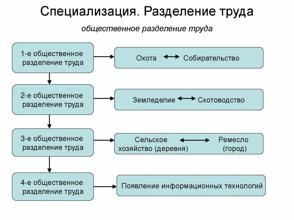 Специализация это в истории. Разделение труда и специализация Обществознание 8 класс. Этапы общественного разделения труда таблица. Разделение труда и специализация таблица. Примеры специализации и разделения труда.