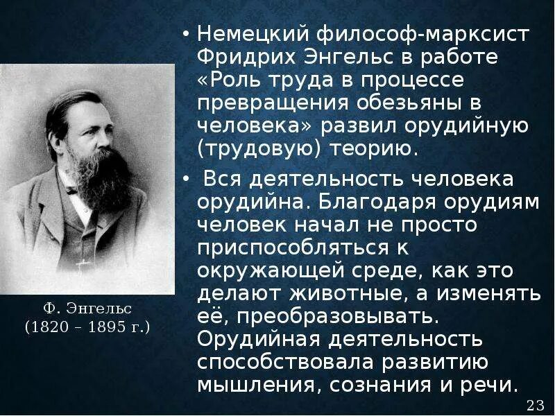 Роль труда в процессе превращения обезьяны в человека. Процесс превращения обезьяны в человека. Труды Энгельса.