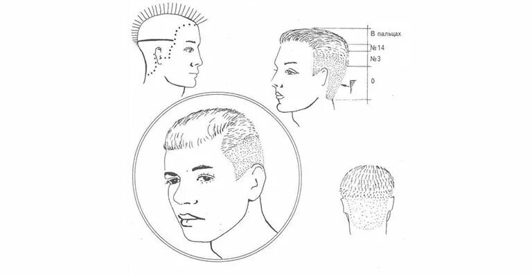 Стрижка фейд мужская схема. Фейд кроп стрижка схема. Стрижка кроп мужская схема выполнения. Стрижка фейд мужская схема технологии. Как научиться стричь мужские стрижки