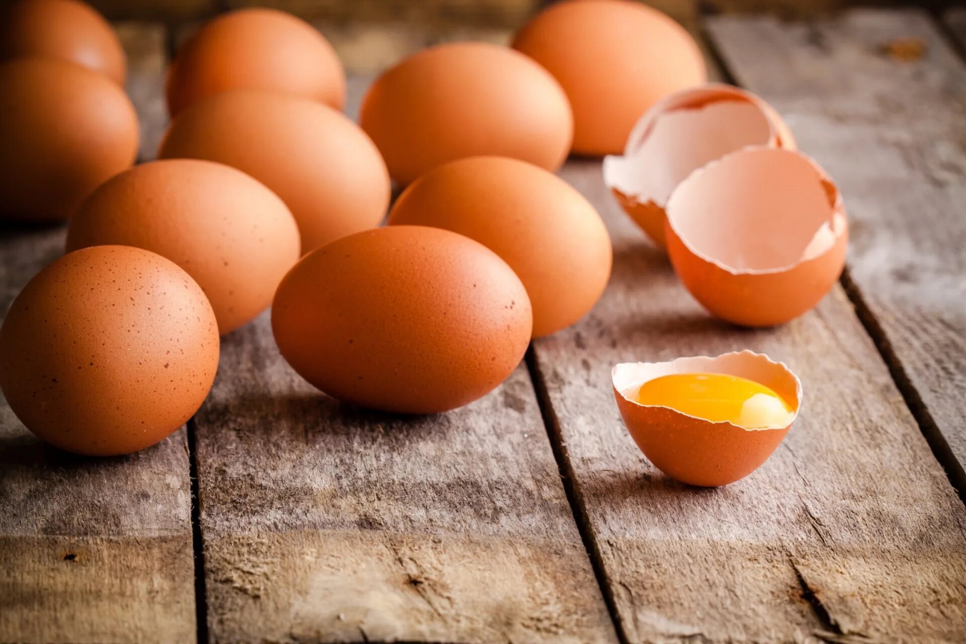 Куриное яйцо собаке. Яйцо куриное. Яйцо (пищевой продукт). Яйцо куриное пищевое. Яйца кур.