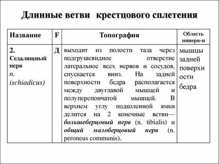 Таблица ветви