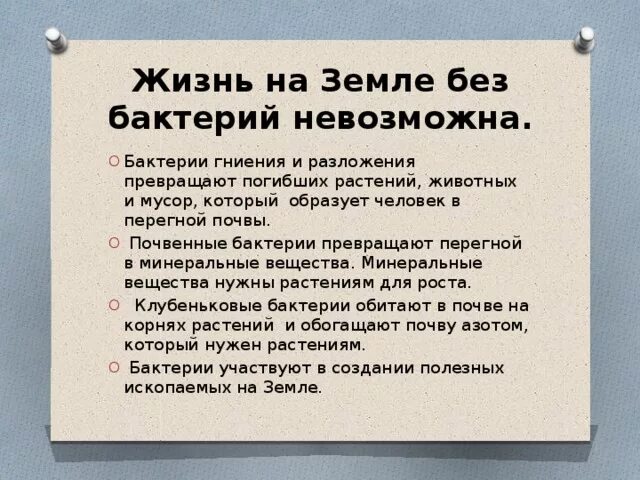 Почему без деятельности бактерий. Без деятельности бактерий жизнь на земле была бы невозможна. Почему жизнь на земле невозможна без бактерий. Почему без деятельности бактерий на земле. Что будет если на земле не будет бактерий.