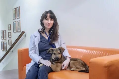 Номер телефона ветеринара