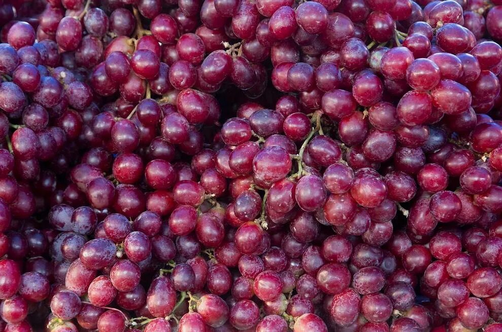Red grape. Mr grape. мистер виноград.