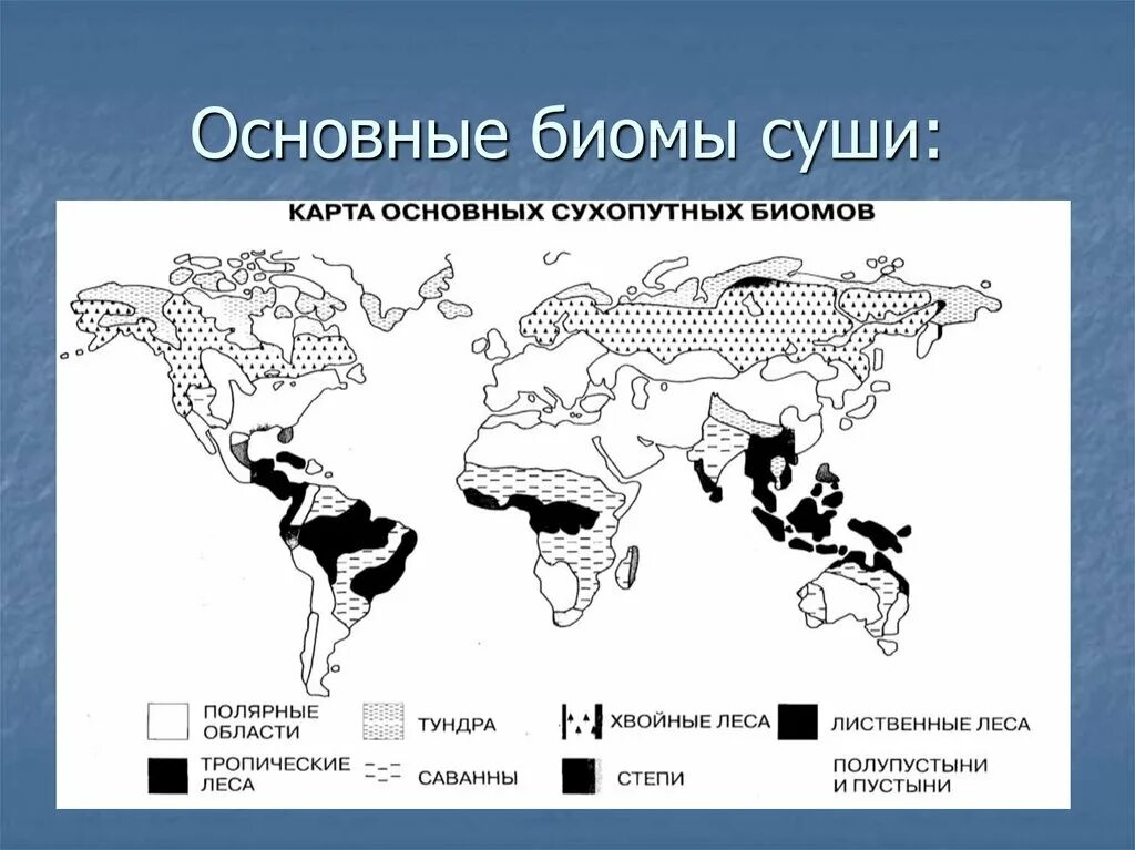 Биомы суши. Карту основные типы биомов суши. Биогеография основные биомы суши. Основные типы биомов суши по Вальтеру карта. Основные типы биомов суши.