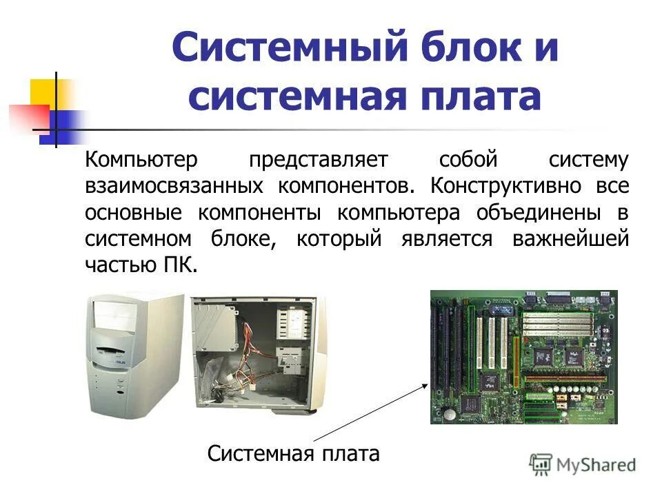 Представляют собой системы взаимосвязанных элементов