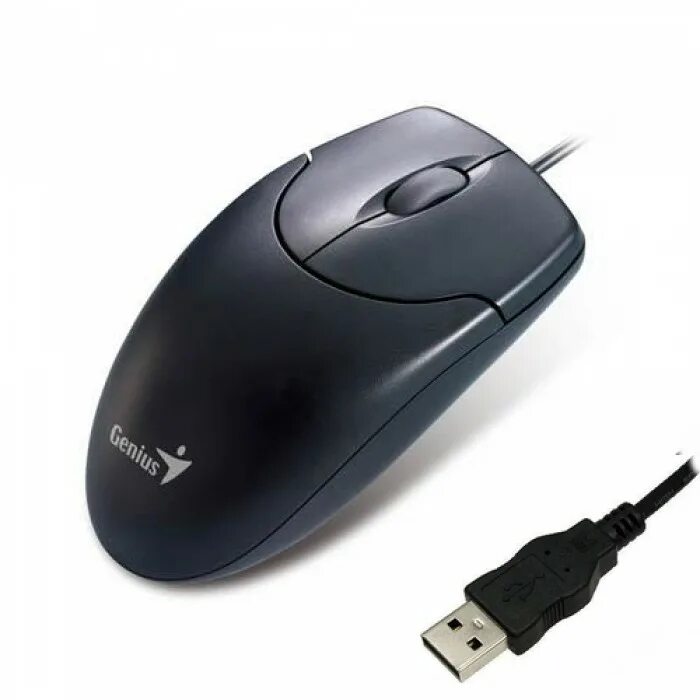 Мышь genius dx-125 (черный). Genius dx-120 black. Мышь genius netscroll 120 black usb. Мышь genius 120 v2. Netscroll 110.