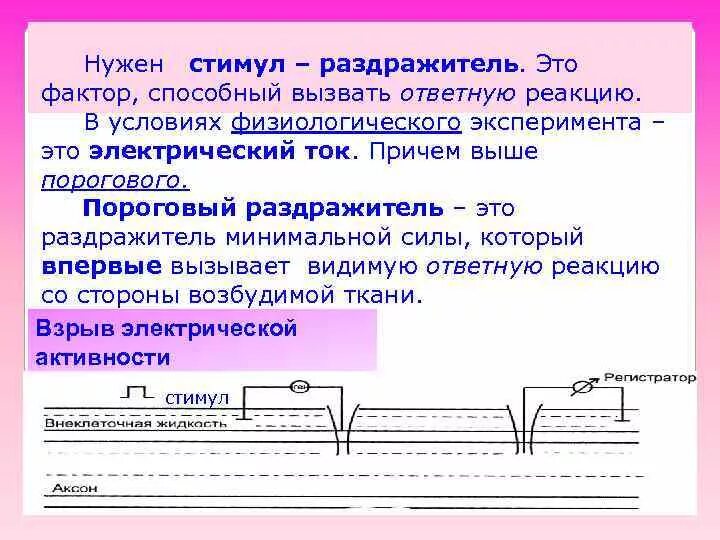 Пороговый раздражитель вызывает. Пороговый раздражитель вызывает