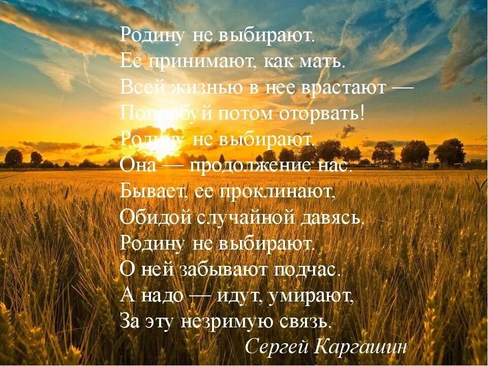 Стихотворение я русский спасибо. Стихи о любви к родине. Красивые слова о родине. Про родину цитаты красивые. Стишки про родину.