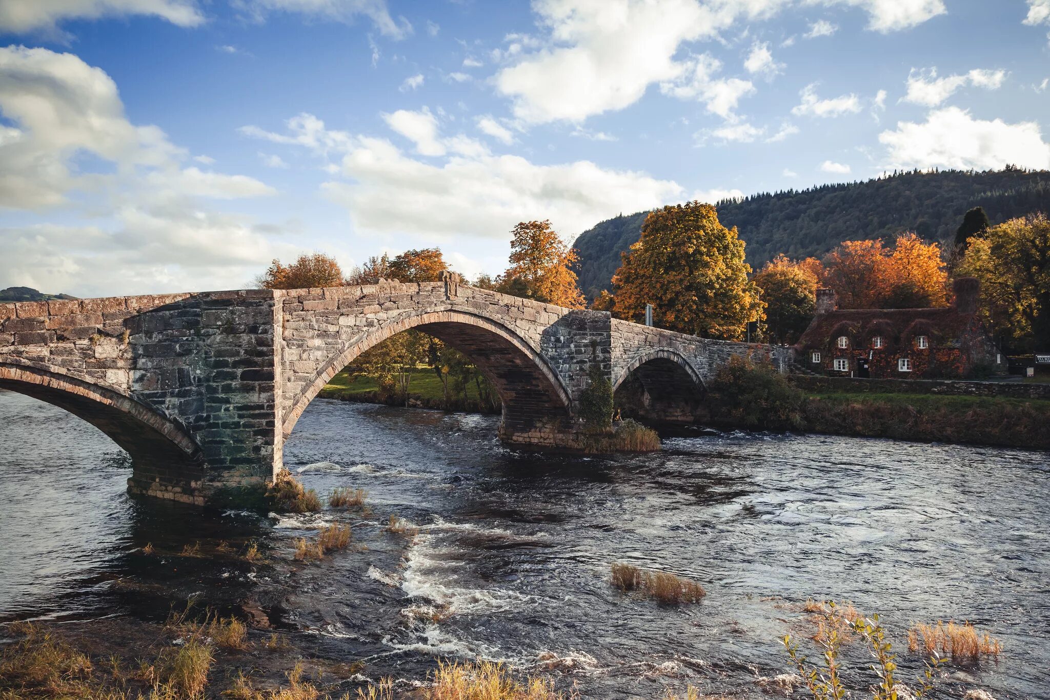 Через river. Мост река смородинка ленинградская. Мост через реку. Пайн ривер мост через реку. Через river.