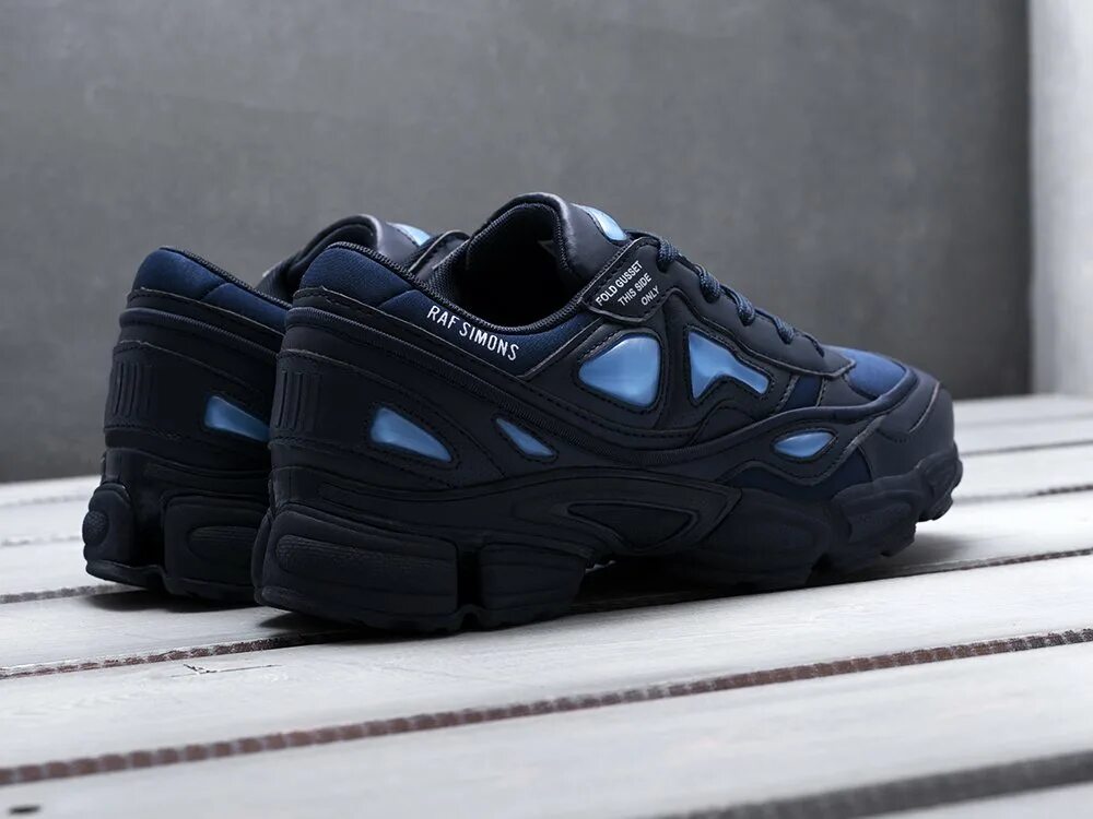 Adidas Ozweego 2 x Raf Simons. Adidas Ozweego 2. Adidas Ozweego. Кроссовки adidas Ozweego 2 мужские.