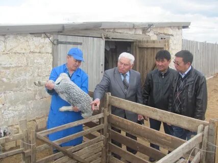 Калмыкия сельское хозяйство