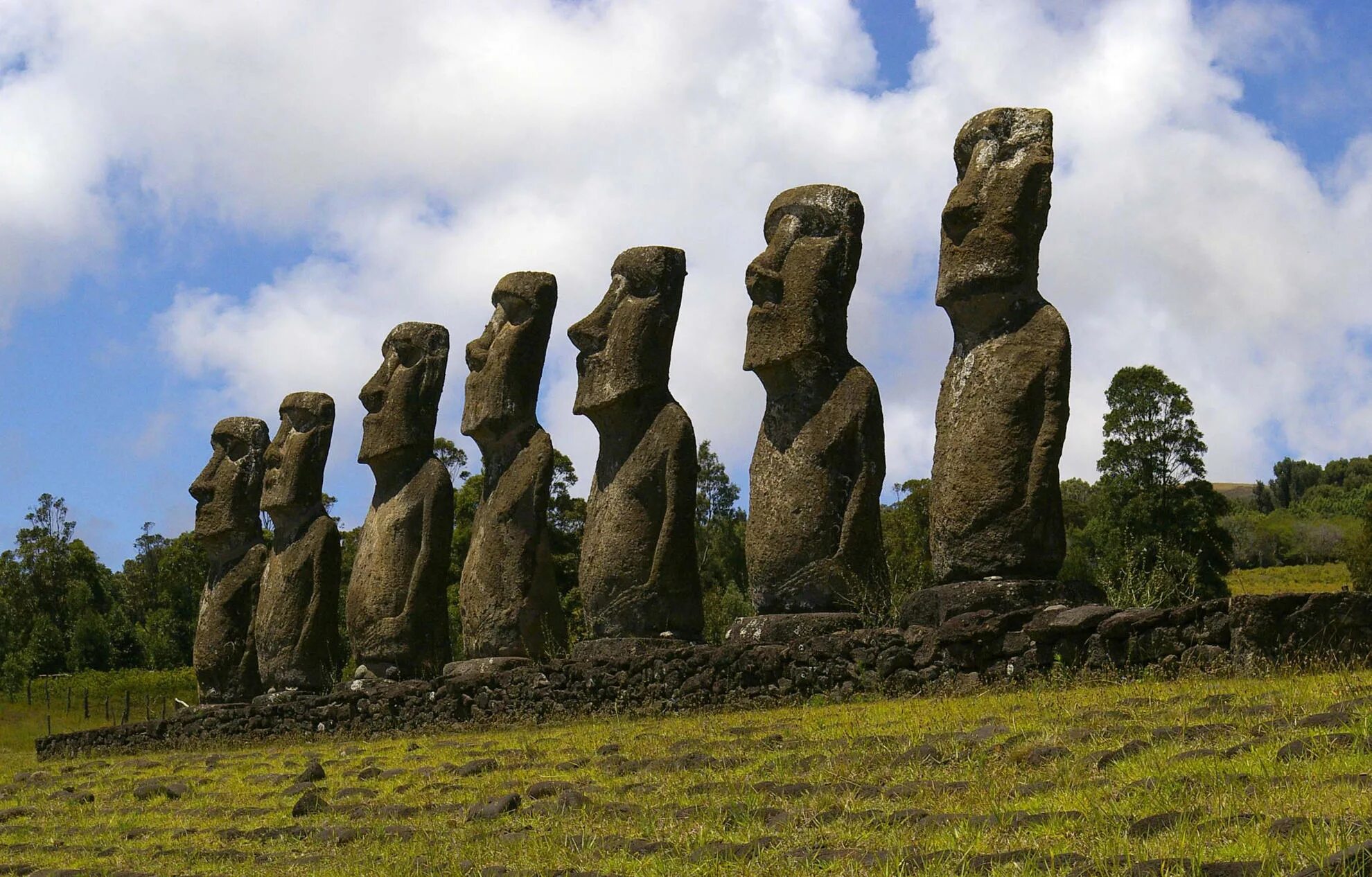 Каменные истуканы острова Пасхи. Остров Пасхи статуи. Статуи Моаи. Эль-Гиганте Моаи.