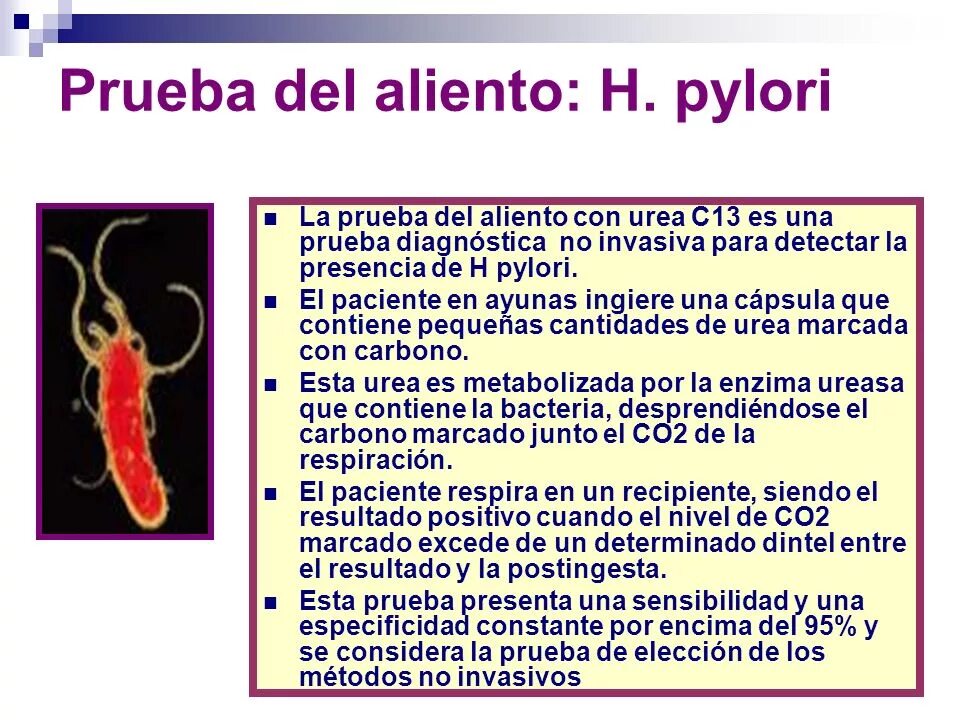 Хеликобактер пилори возбудитель. Инфицированность Helicobacter pylori. Хеликобактер пилори колонии. Пути заражения хеликобактер пилори. Причины появления хеликобактер в желудке